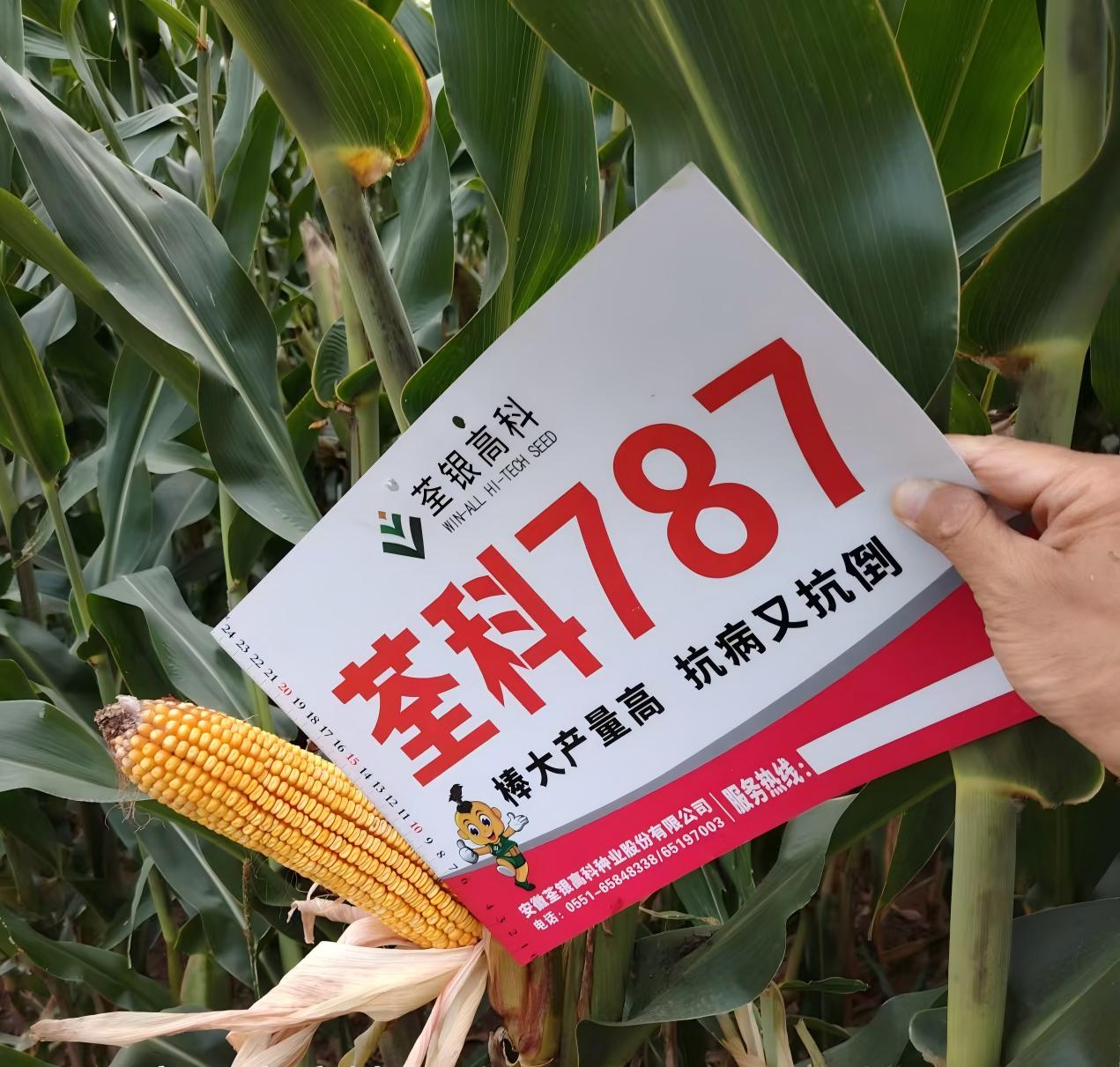 荃科787.jpg 荃科787.jpg