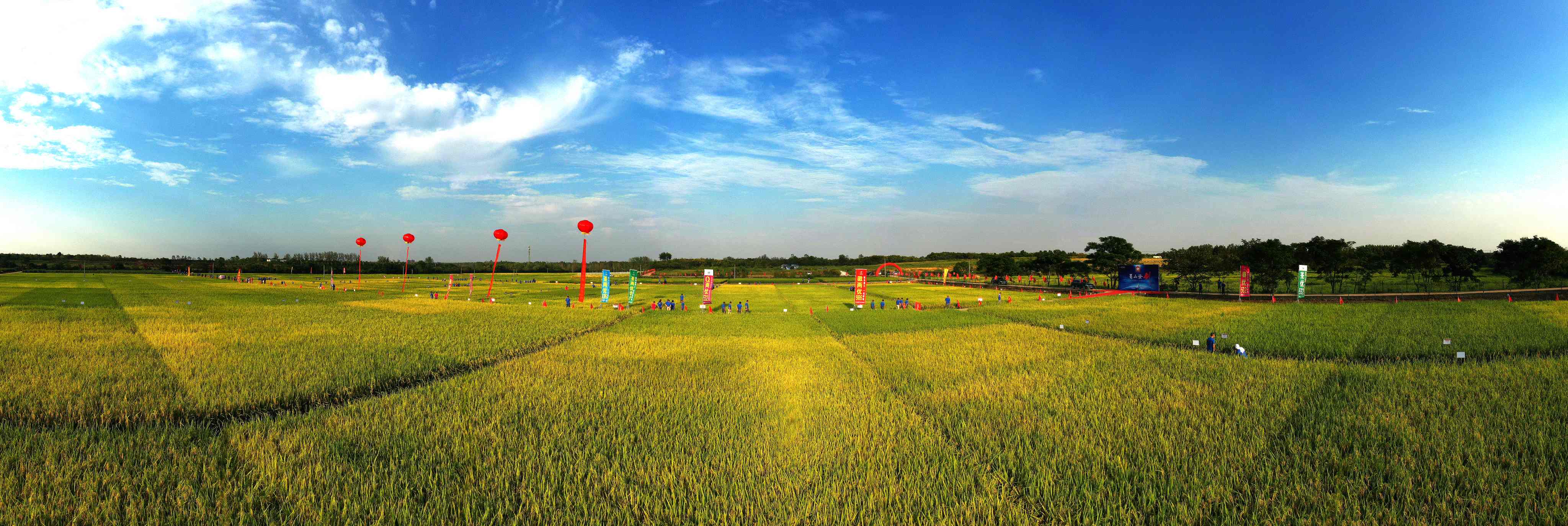 荃銀高科 版權(quán)所有 (50)(1).JPG 荃銀高科 版權(quán)所有 (50)(1).JPG